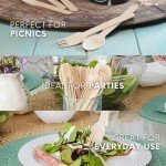 300 Count Compostable Wooden Utensil Set