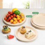 RACETOP 10-Inch Compostable Paper Plates - 150 Pack