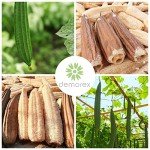 Natural Loofah Exfoliating Body Scrubber, Made with Eco-Friendly and Biodegradable Shower Luffa Sponge, Bath Shower Loofah Sponge for Women and Men, for Face and Body