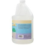 Ginger Lily Farms Botanicals Plant-Based Liquid Dish Soap, Concentrated Formula with Max Grease Cleaning Power, Cruelty-Free, Fragrance-Free, 1 Gallon Refill (128 Fl. Oz.), Clear