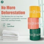 ECO SOUL Bamboo Toilet Paper 24 Mega Rolls 3 Ply, 300 Sheets per Roll | Eco-Friendly Septic Safe Organic Bath Tissues Sustainable Toilet Paper Compostable - FSC Certified