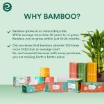 ECO SOUL Bamboo Toilet Paper 24 Mega Rolls 3 Ply, 300 Sheets per Roll | Eco-Friendly Septic Safe Organic Bath Tissues Sustainable Toilet Paper Compostable - FSC Certified