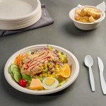 ECOLipak 125 Pack Paper Plates 10 inch 100% Compostable Plates Heavy-Duty Dinner Plates Disposable Bagasse Deep Dish Natural Biodegradable Eco-Friendly Sugarcane Plates(Brown)