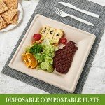 ECOLipak 125 Pack Compostable Square Plates, 6 inch Disposable Paper Plates, Eco-friendly Heavy Duty Biodegradable Sugarcane Plates