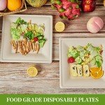 ECOLipak 125 Pack Compostable Square Plates, 6 inch Disposable Paper Plates, Eco-friendly Heavy Duty Biodegradable Sugarcane Plates