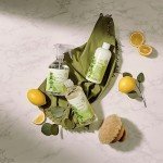 Thymes Dishwashing Liquid Soap - Eco Friendly Dish Soap Liquid for Dish Washing - Kitchen House Essentials (Eucalyptus, 16 fl oz)