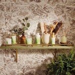 Thymes Dishwashing Liquid Soap - Eco Friendly Dish Soap Liquid for Dish Washing - Kitchen House Essentials (Eucalyptus, 16 fl oz)