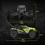 RIAARIO 1/10 Brushless RC Cars, Monster Truck, 50+ MPH, 4WD, Waterproof, Carbon Fiber, Black, Ages 8+