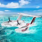 VEVOR RC Plane, 2.4GHZ 3CH RC Airplane with 6-Axis Gyro Stabilizer&2 Batteries, Ready to Fly Amphibious Aircraft Plane Toy for Adults Beginners Kids Birthday/Xmas Gift