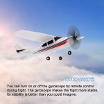 GoolRC WLtoys F949S RC Airplane, 2.4Ghz 3CH RC Plane with Gyroscope, EPP Remote Control Airplane, Easy to Fly RC Aircraft with 3 Batteries