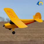 HobbyZone Champ Anniversary Special Edition 515mm RTF with Safe Select, HBZ04900