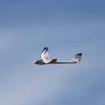 E-flite RC Airplane Night Radian 2.0m PNP EFL36750