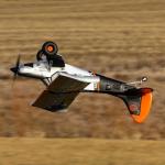 E-flite RC Airplane Micro Scrappy 800mm BNF Basic (Transmitter, Battery and Charger Not Included), EFL02150D
