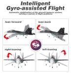 WANZRXX RC Airplane for Adult SU35 Jet 4CH Remote Control Plane RTF Tail Motor Aircraft 3D / 6G Stunt Function Fixed Wing Glider Brushless Motor Simulation Fighter Beginners 2 Batteries (Gray)