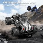 Fast 1/16 Brushless 4WD RC Car with Batteries
