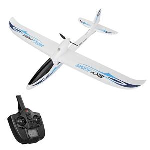 GoolRC WLtoys F959S RC Airplane, Sky-King 2.4G 3CH 6-Axis Gyro Remote Control Aircraft, Fixed-Wing Plane Glider for Adults or Teens, RTF Ready to Fly (Blue)