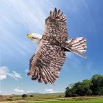 GoolRC Dancing Wings Hobby E1901 EPP RC Airplane Eagle Plane 1430mm Electric Powered Aircarft Unassembled KIT Version DIY Flying Model