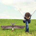 GoolRC Dancing Wings Hobby E1901 EPP RC Airplane Eagle Plane 1430mm Electric Powered Aircarft Unassembled KIT Version DIY Flying Model