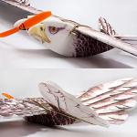 GoolRC Dancing Wings Hobby E1901 EPP RC Airplane Eagle Plane 1430mm Electric Powered Aircarft Unassembled KIT Version DIY Flying Model