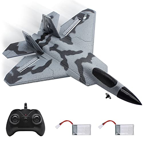 2.4 GHz Remote Control F-22 Aeroplane Toy