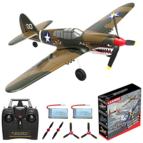 LEAMBE P-40 Warhawk RC Plane with Stabilization System