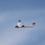 E-flite Night Radian 2.0m RC Airplane BNF