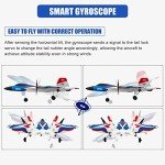 Leopmase F-22 RC Plane with Stunt Features