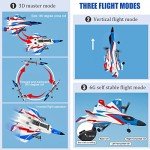 Leopmase F-22 RC Plane with Stunt Features