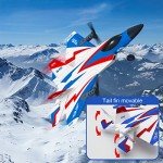 Leopmase F-22 RC Plane with Stunt Features