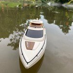 Remote Control Cruise Ship for Lake & Pool