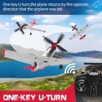 P51D RC Plane - Ready to Fly Warbird