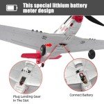 P51D RC Plane - Ready to Fly Warbird