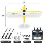 Top Race RC Stunt Plane with Gyro Stabilizer