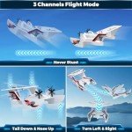 AIGIMU 3CH RC Airplane - Easy Fly Model