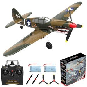 ANBURI 4-CH P-40 Warhawk RC Airplane
