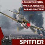 ANBURI 4-CH P-40 Warhawk RC Airplane