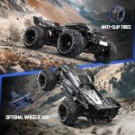 Fast 1/16 Brushless 4WD RC Car with Batteries