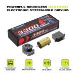 AMORIL 1/10 Brushless High-Speed Drift Car