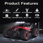 LARVEY 2WD 1:16 High-Speed RC Monster Truck