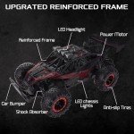 LARVEY 2WD 1:16 High-Speed RC Monster Truck