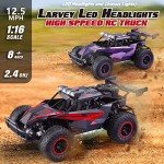 LARVEY 2WD 1:16 High-Speed RC Monster Truck