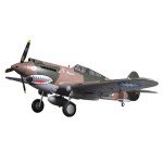 FMS P-40B Warhawk RC Plane with Flaps