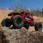 Axial 1/10 Capra 1.9 Trail Buggy RTR
