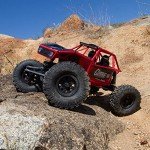 Axial 1/10 Capra 1.9 Trail Buggy RTR