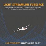 GoolRC 3CH Sky-King RC Plane for Kids & Adults