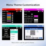 Radiolink T12D 12-Channel RC Transmitter & Receiver