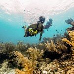 BLU3 Nomad Battery Dive System (Battery Not Included)