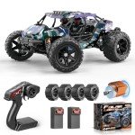 Womaqu RC Cars for Adults & Boys, 1:14 Desert 4WD Off-Road RC Truck High Speed 40 km/h, 4x4 Remote Control Car with 2 Rechargeable 1300mAh Batteries and 2 Sets of Tires
