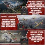 LEAMBE P-40 Warhawk RC Plane with Stabilization System