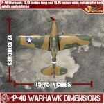 LEAMBE P-40 Warhawk RC Plane with Stabilization System